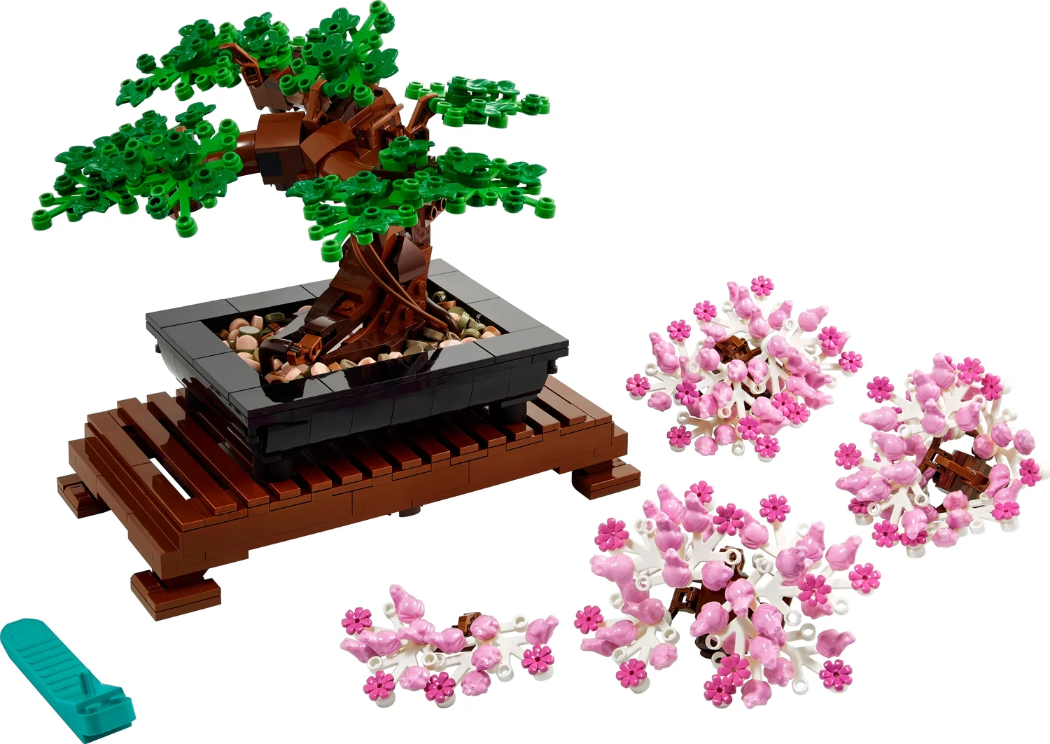 Bonsai Tree - Image 3