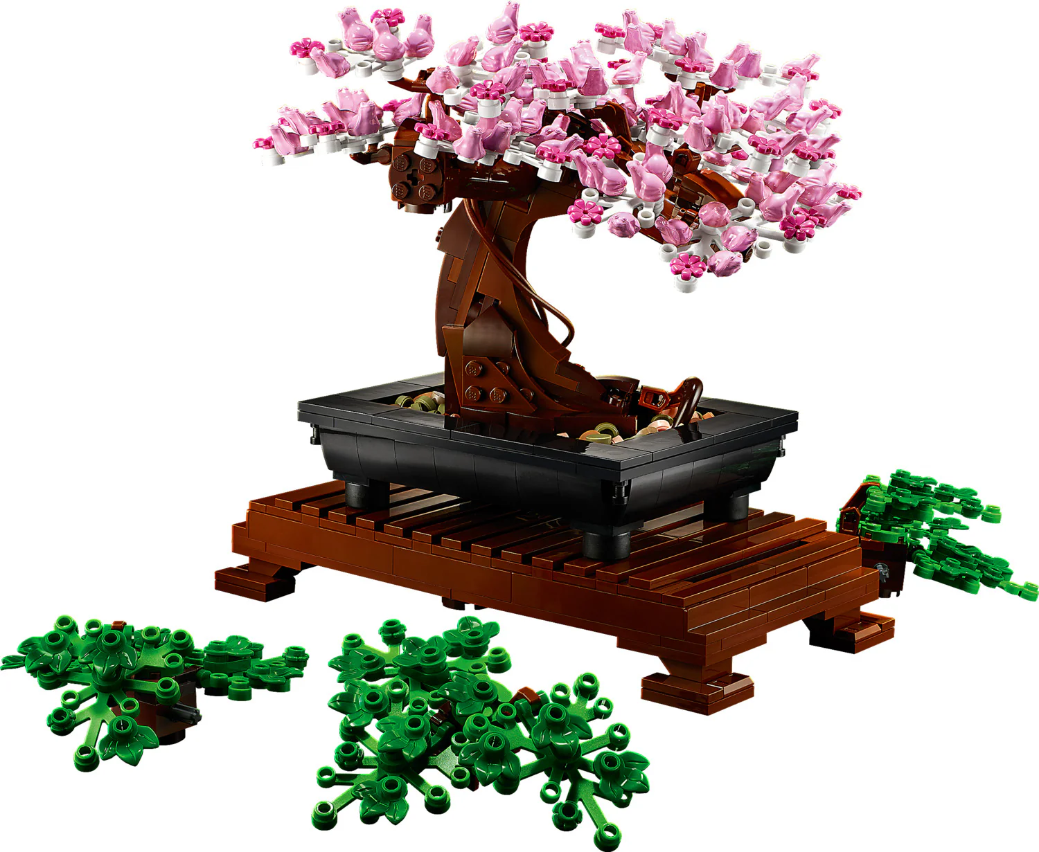 Bonsai Tree - Image 5