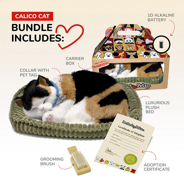 Calico Kitten - Image 2