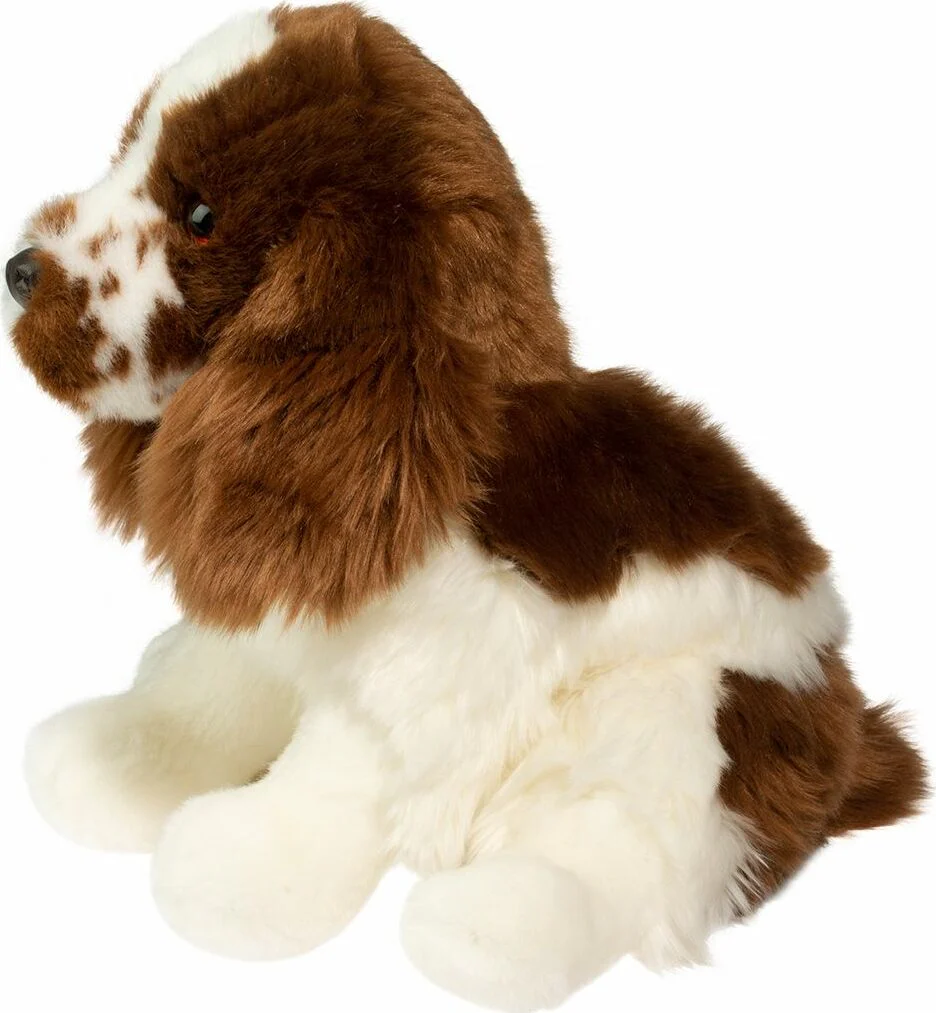 Chip Springer Spaniel - Image 2