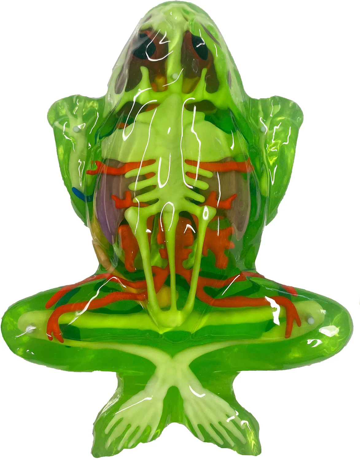 Dissect-It - Frog Super Lab - Image 3