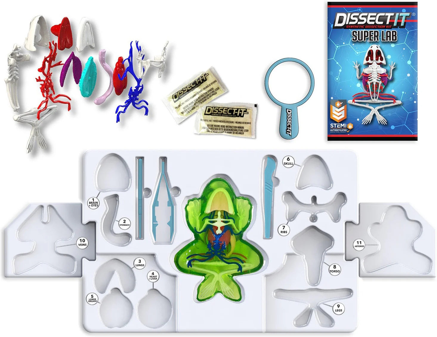 Dissect-It - Frog Super Lab - Image 4