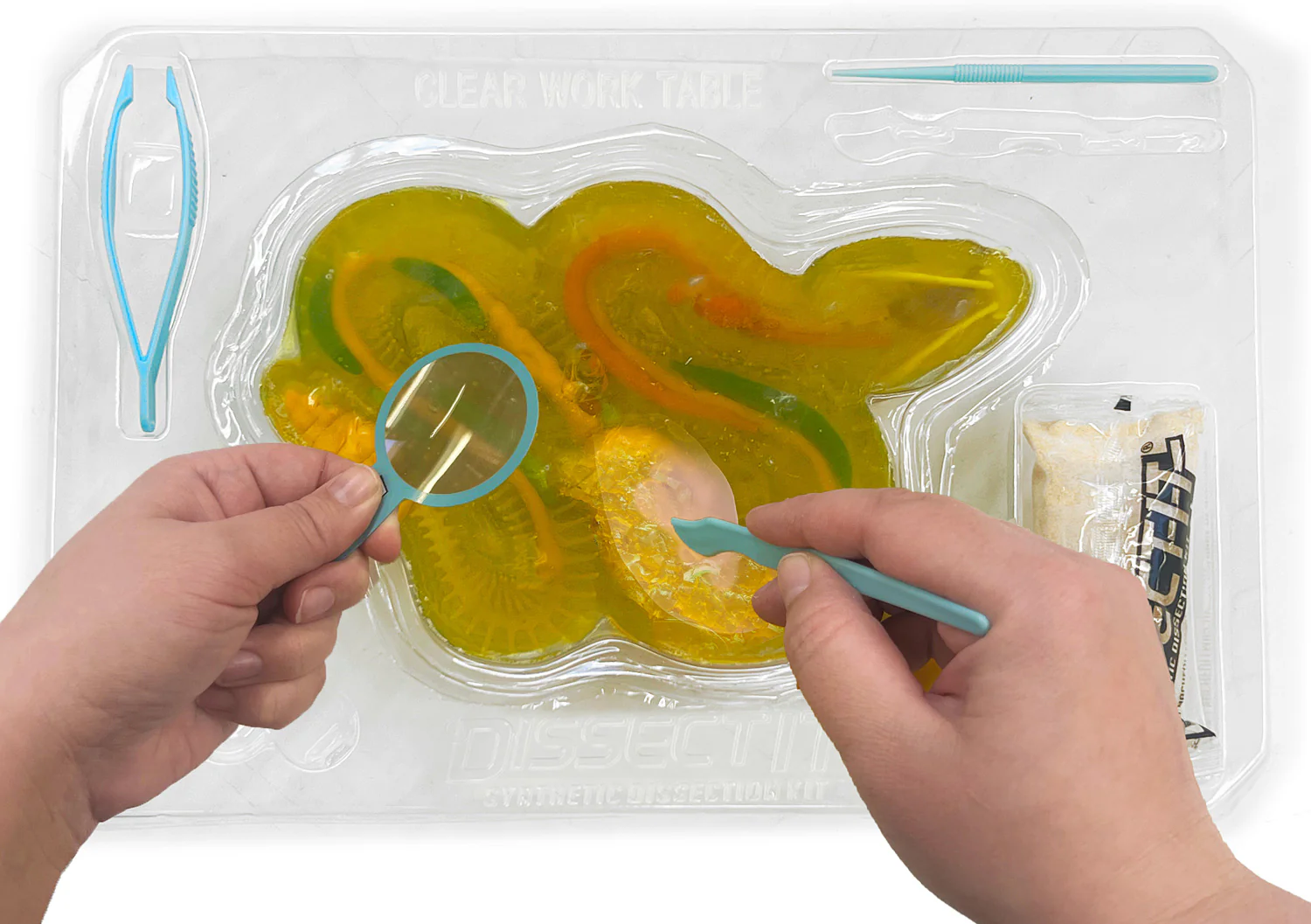 Dissect-It+ Rattlesnake Super Lab Kit - Image 2
