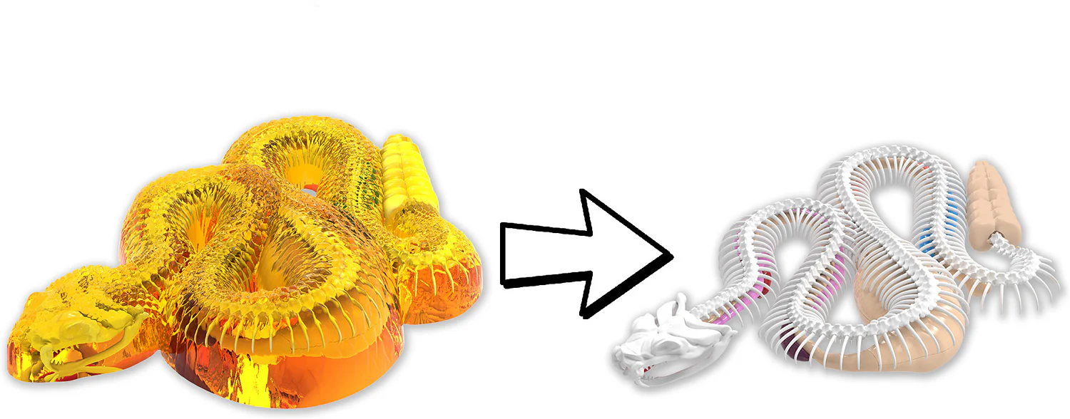 Dissect-It+ Rattlesnake Super Lab Kit - Image 3