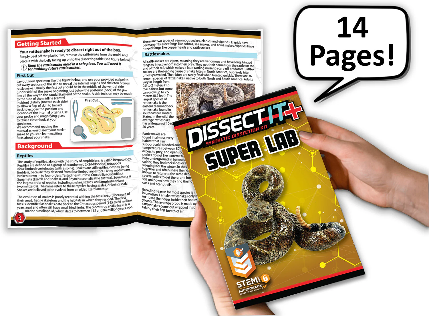 Dissect-It+ Rattlesnake Super Lab Kit - Image 4