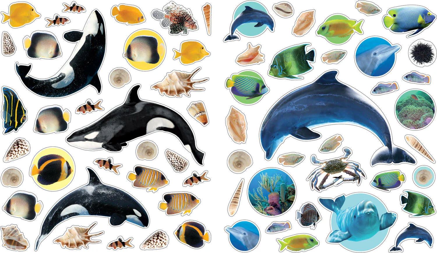 Eyelike Stickers: Ocean - Image 5
