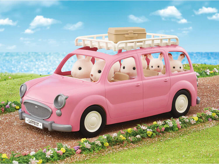 Family Picnic Van - Image 5