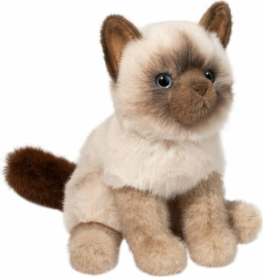 Fu Siamese Cat - Image 5