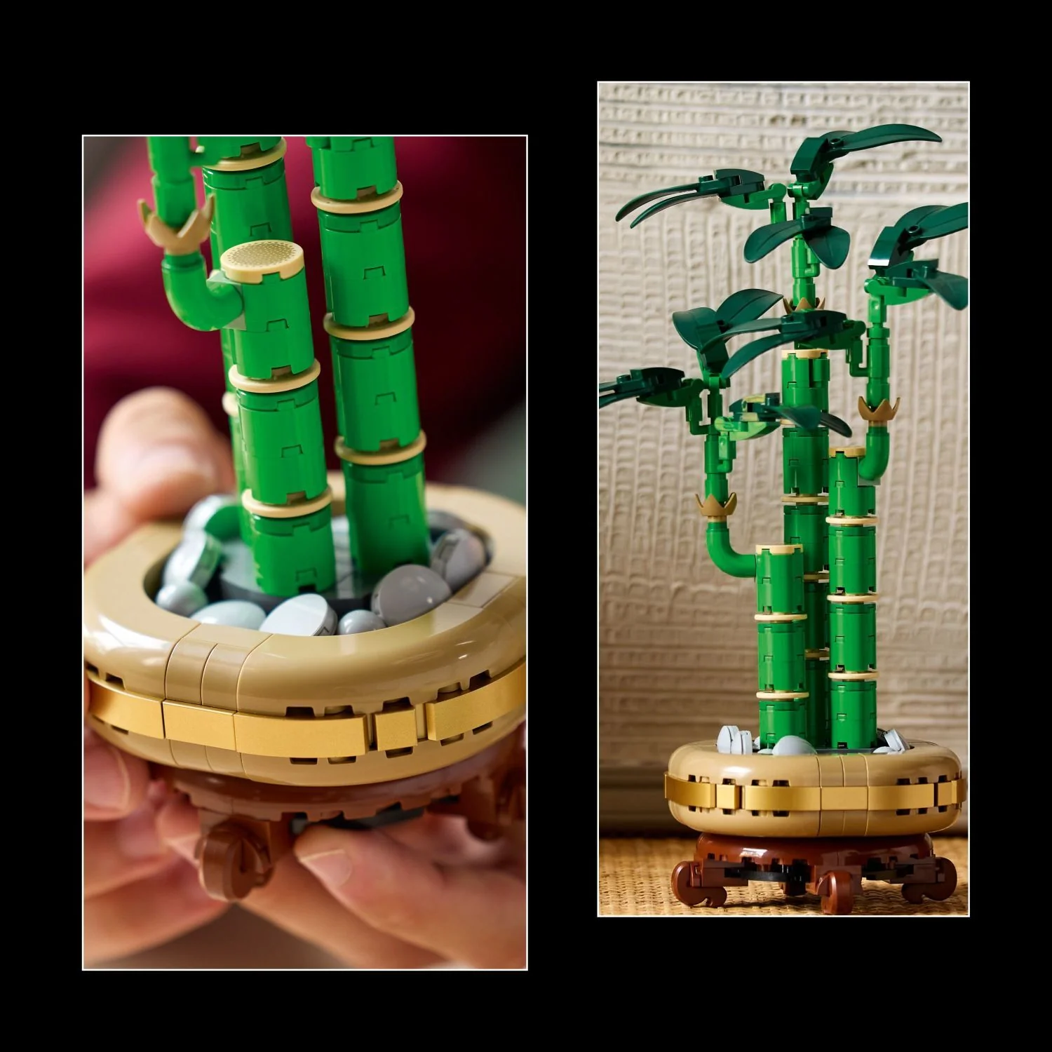 LEGO Botanicals: Lucky Bamboo - Image 6
