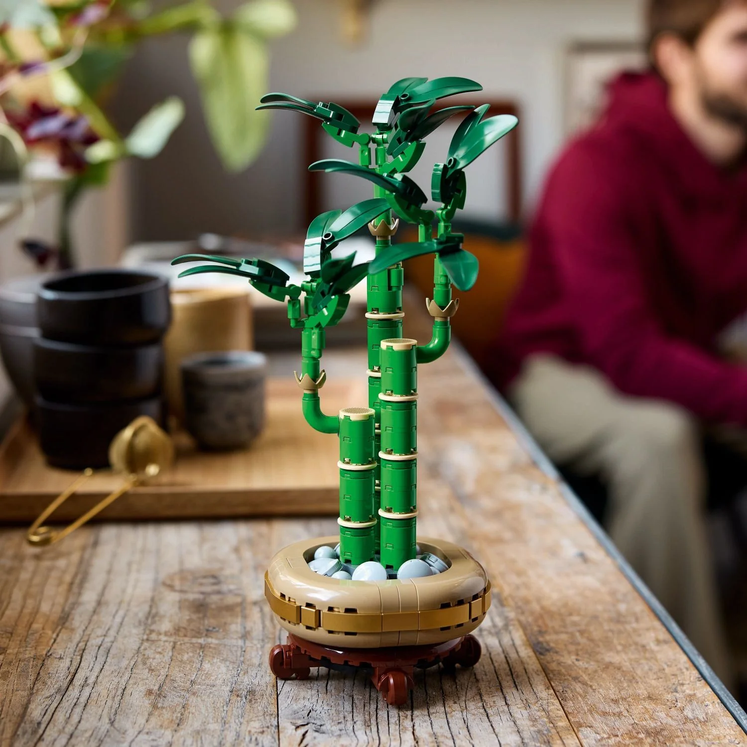 LEGO Botanicals: Lucky Bamboo - Image 7