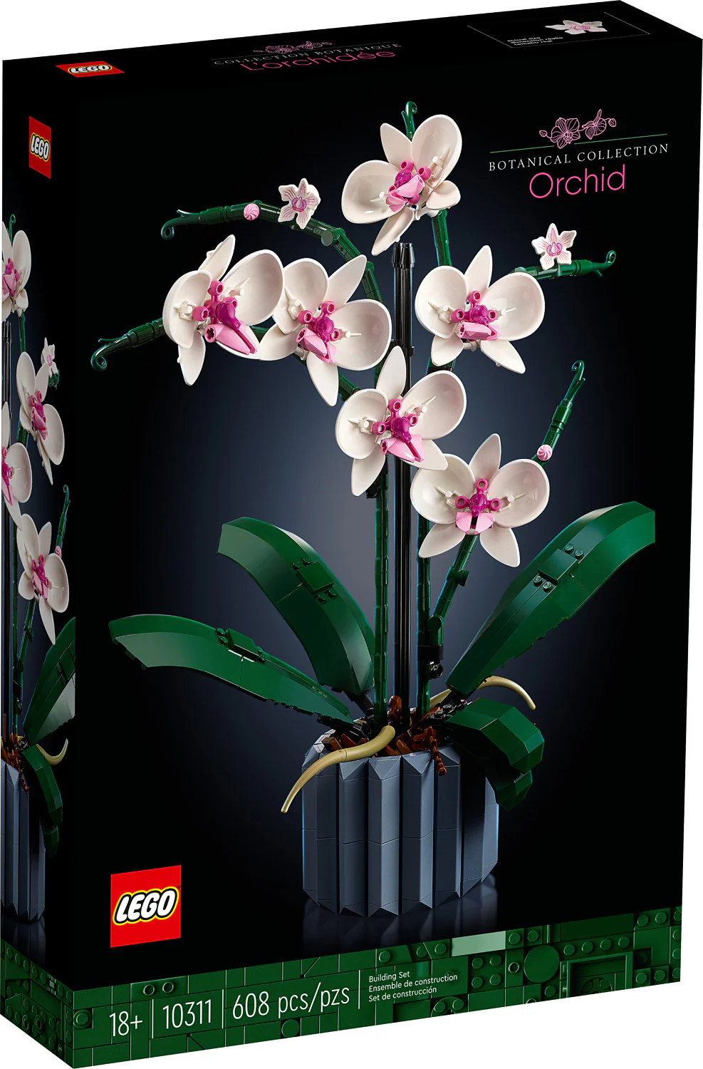 Orchid - Image 2