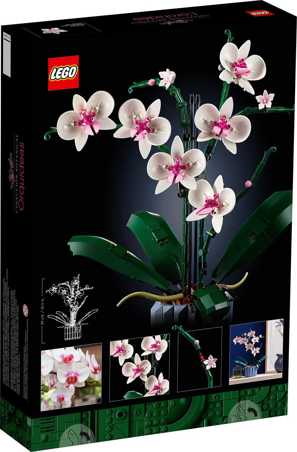 Orchid - Image 6