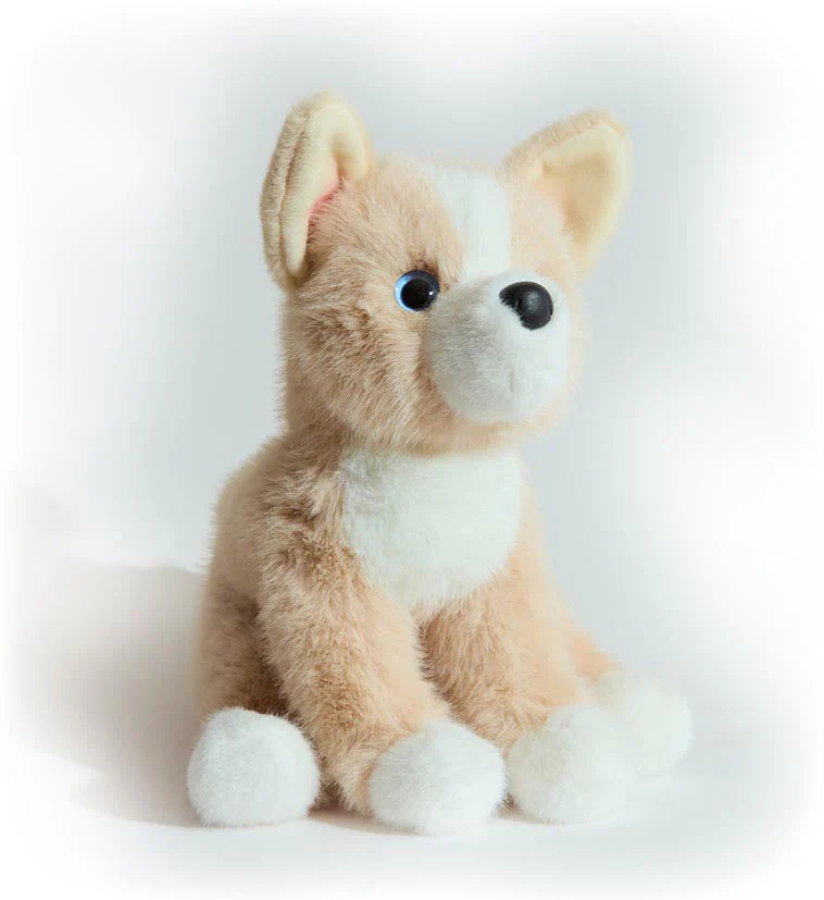 Pookie Pomsky Soft - Image 2