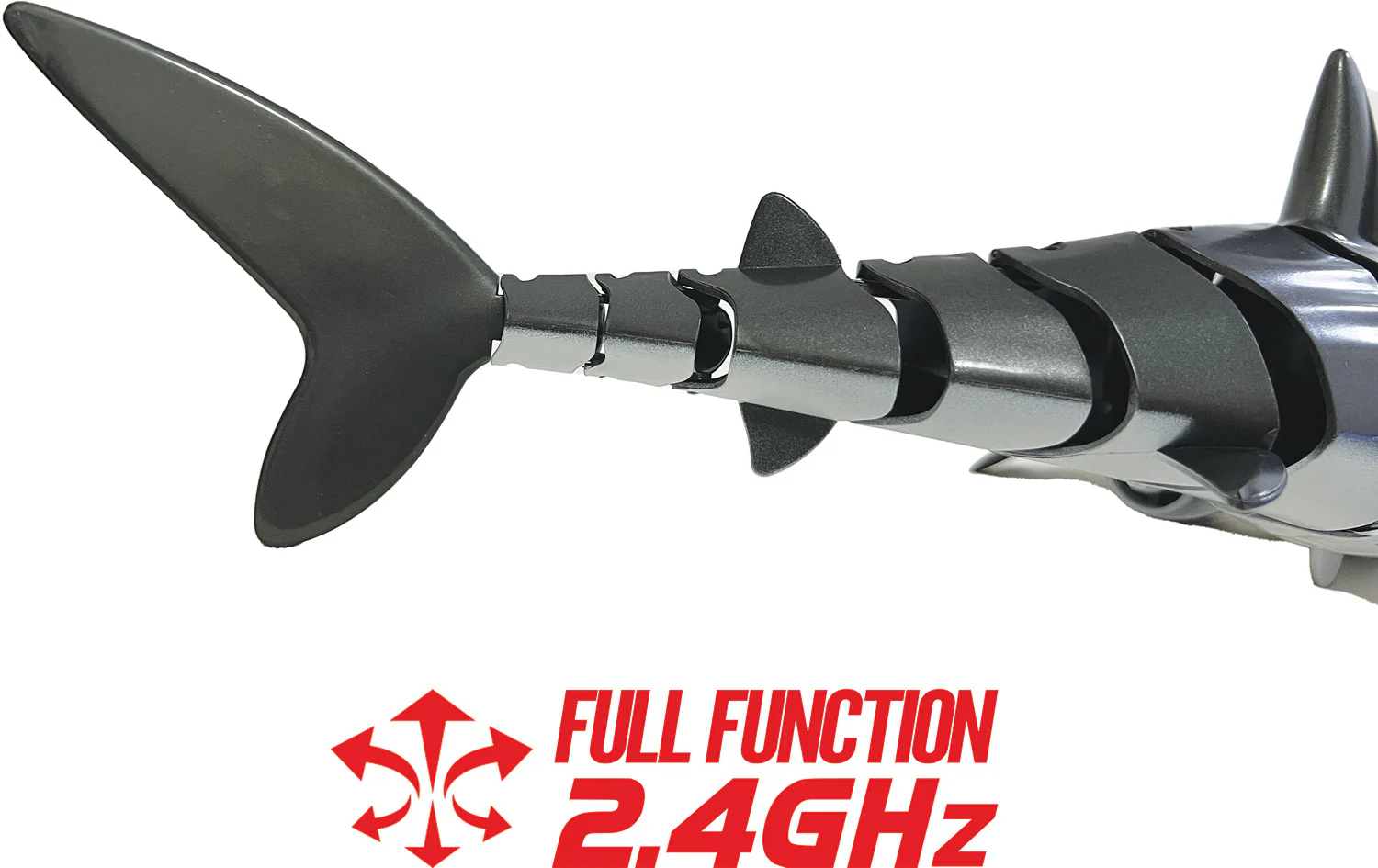RC Shark - Image 5