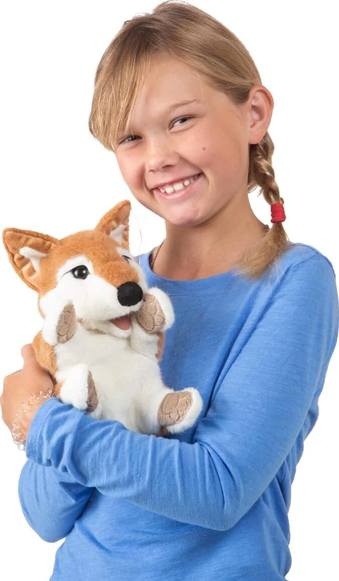 Shiba Inu Puppy - Image 3