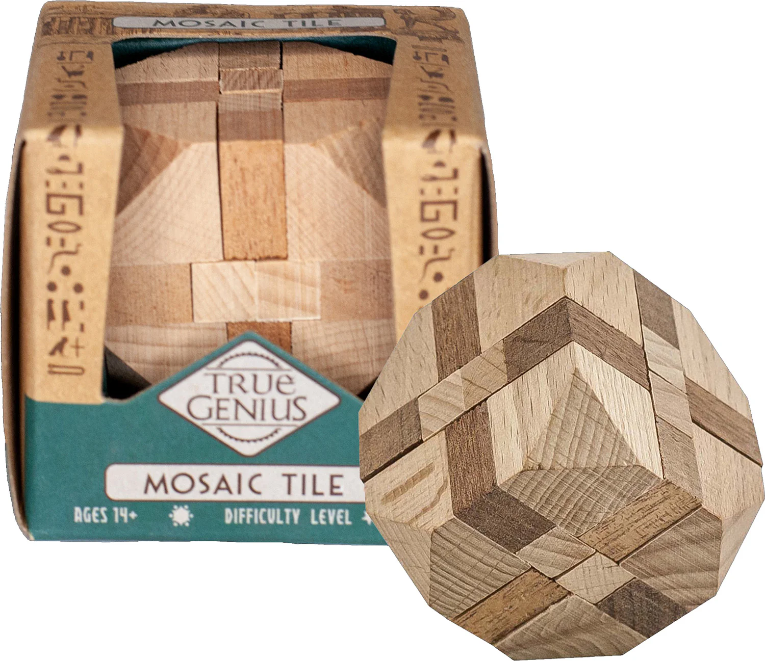 True Genius Wood and Metal Brainteaser Puzzles - Image 6