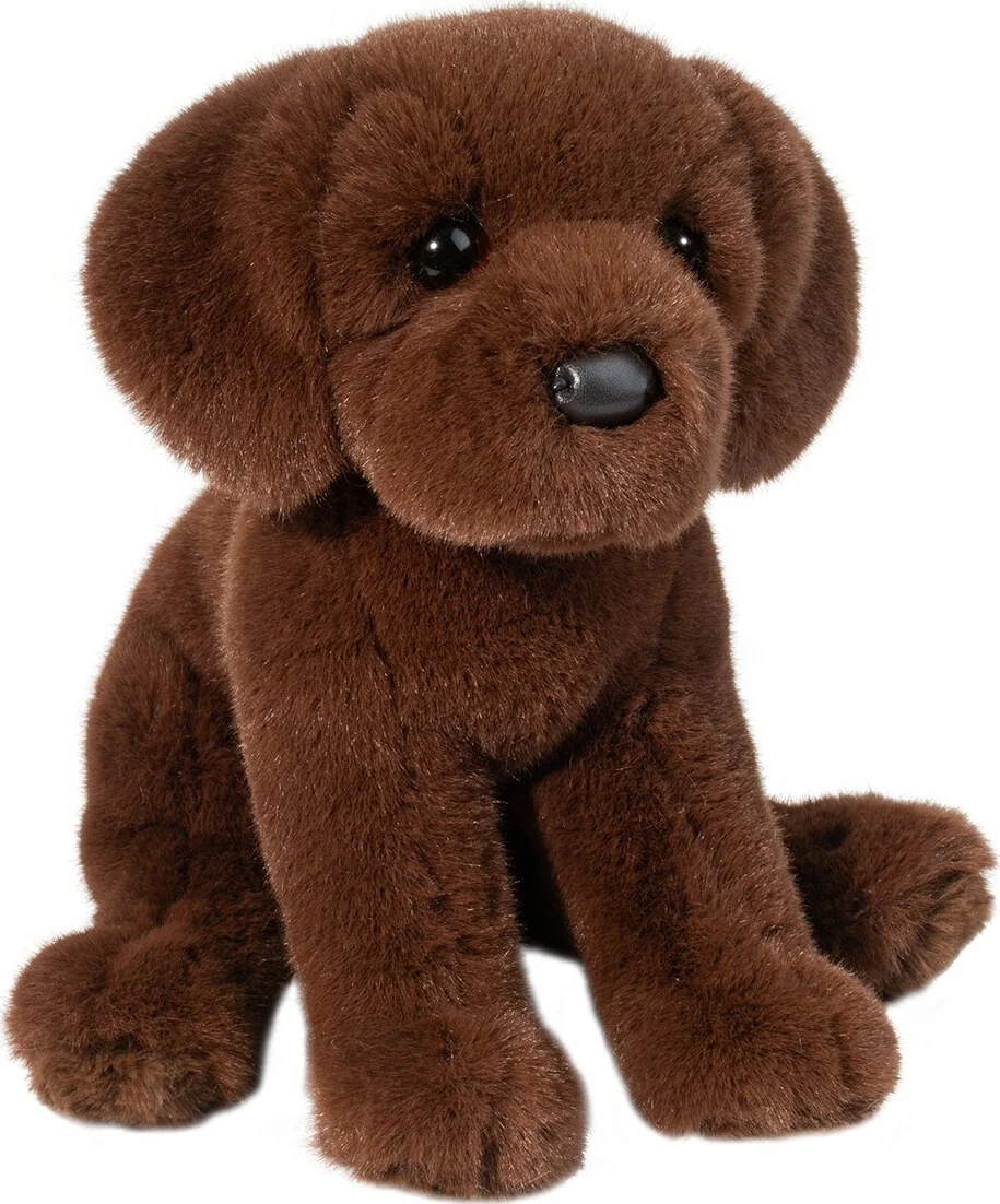 Zoom Chocolate Lab - Image 5